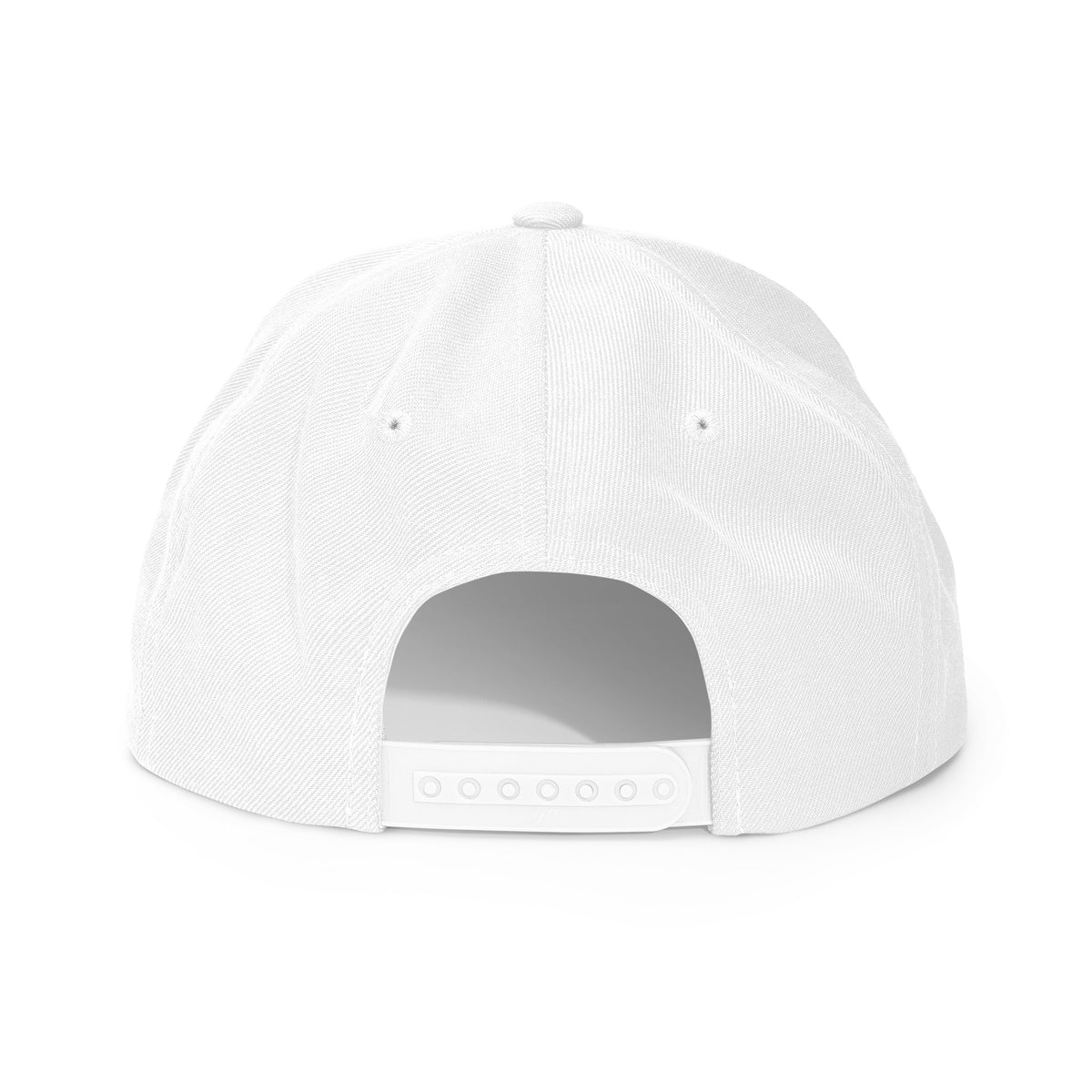 forge standard — House Mark Snapback – Produktansicht 4